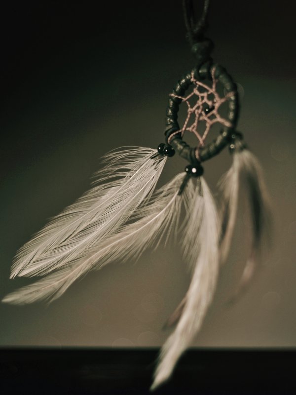 Dreamcatcher - Keylee Fenn