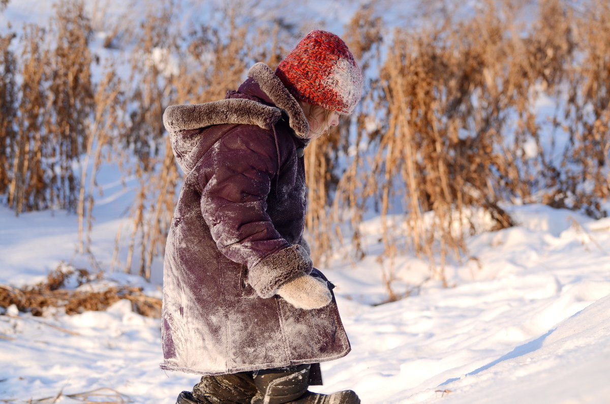Филиппок - Нина Штейнбреннер Филиппок - Нина Штейнбреннер