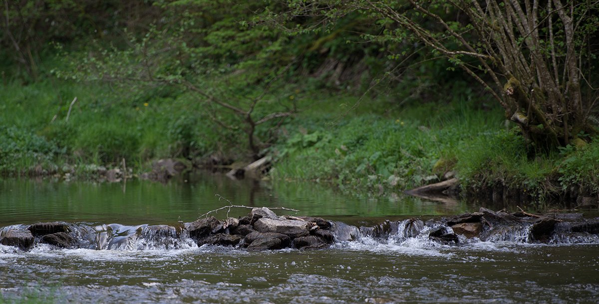Kleiner Wasserfall - Андрей Кох