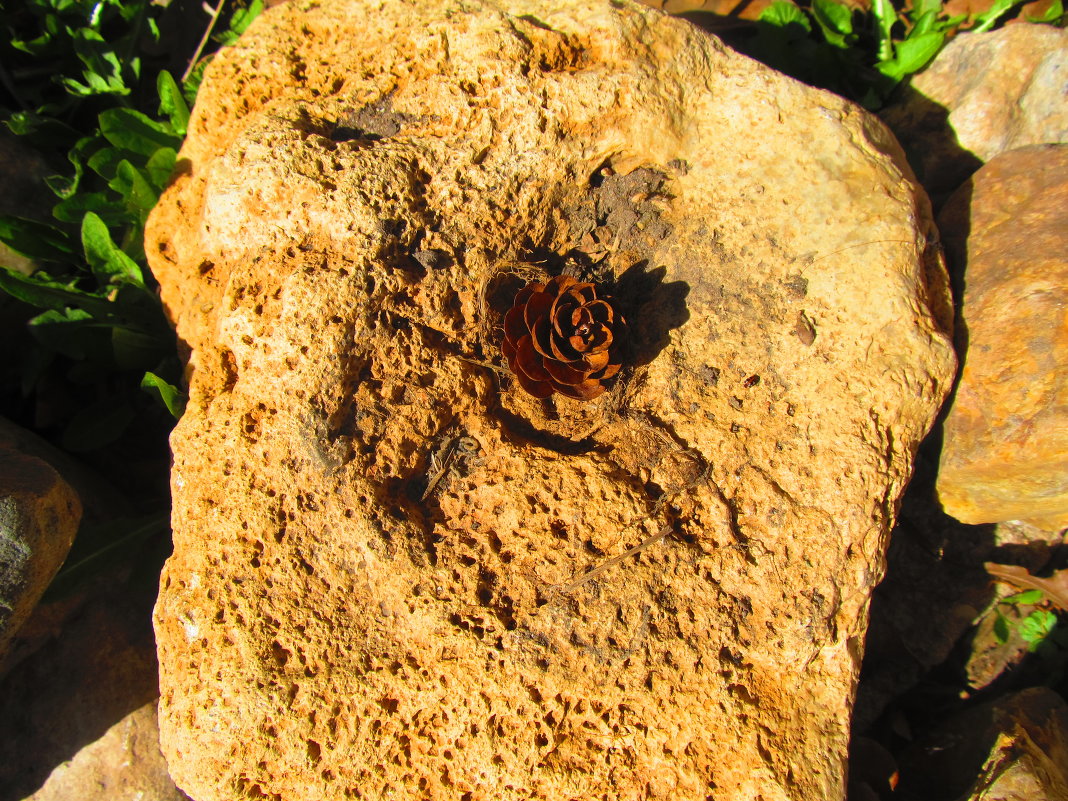 ........ - Катя Иванова