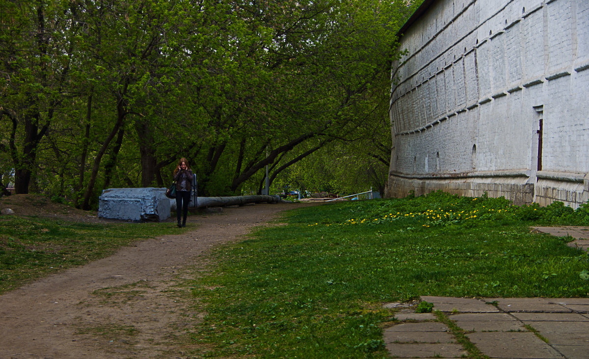 Смешение эпох - Яков Реймер