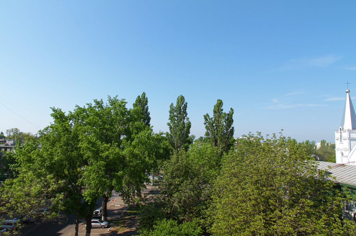 Весна - Николай Сухоруков