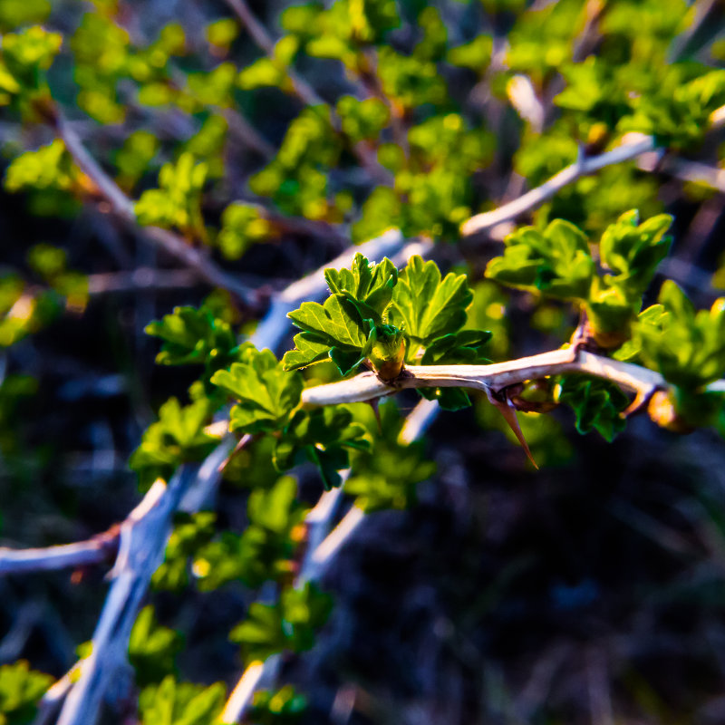 ... - Сергей Андрейчук