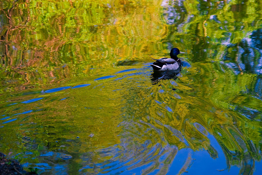 без названия - Владимир Хаманов