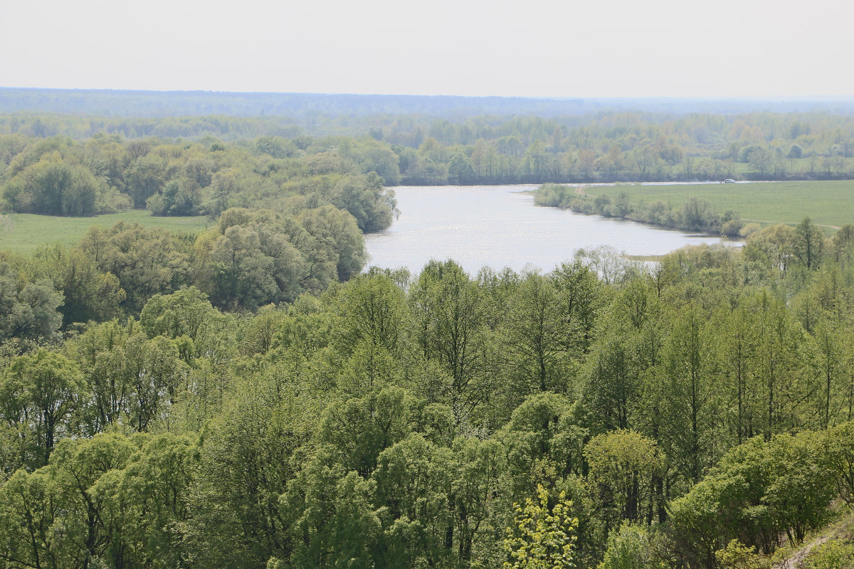 Андреевский луг. Брянск - Александр Варфлусьев