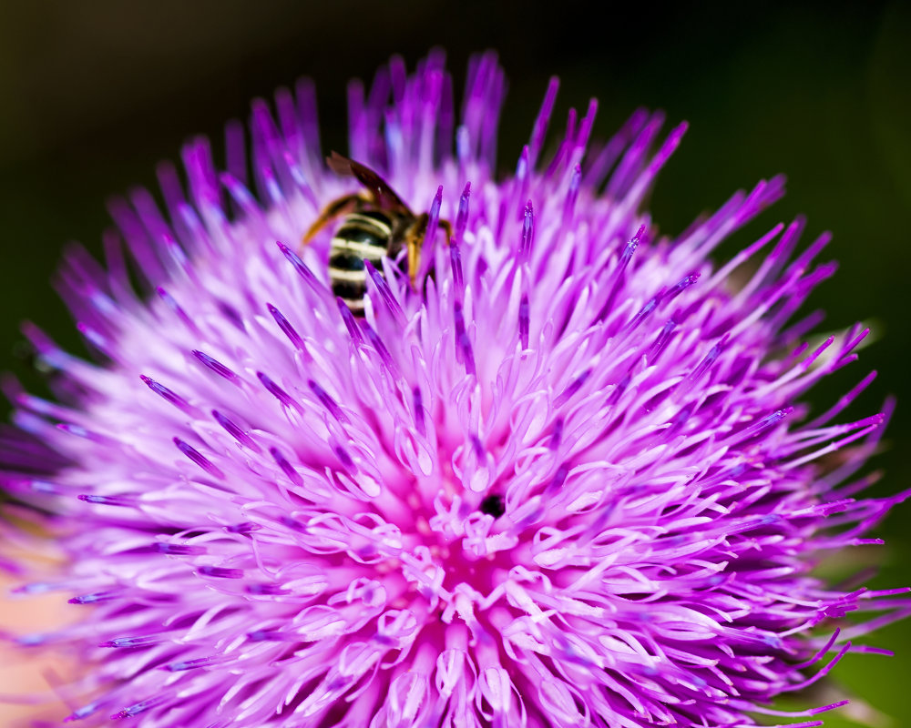 @ - Владимир Лис