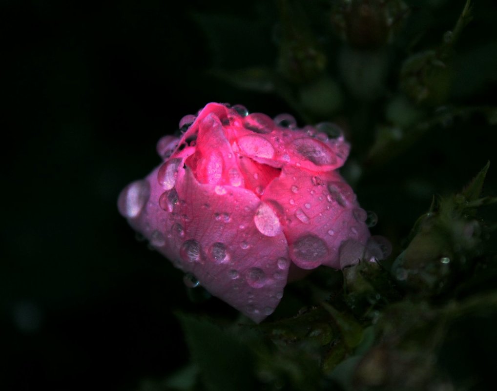 &-Динь Динь ты тут?-& - Роман *******