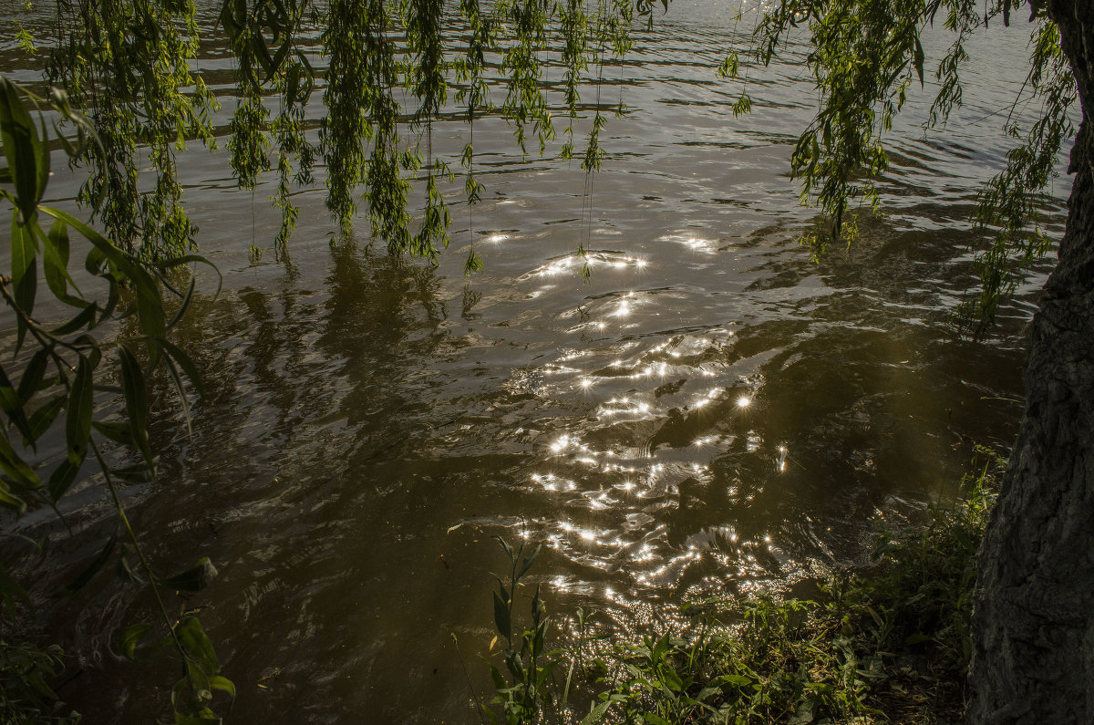 Солнечные лучики в воде - АЛЛА Смирнова