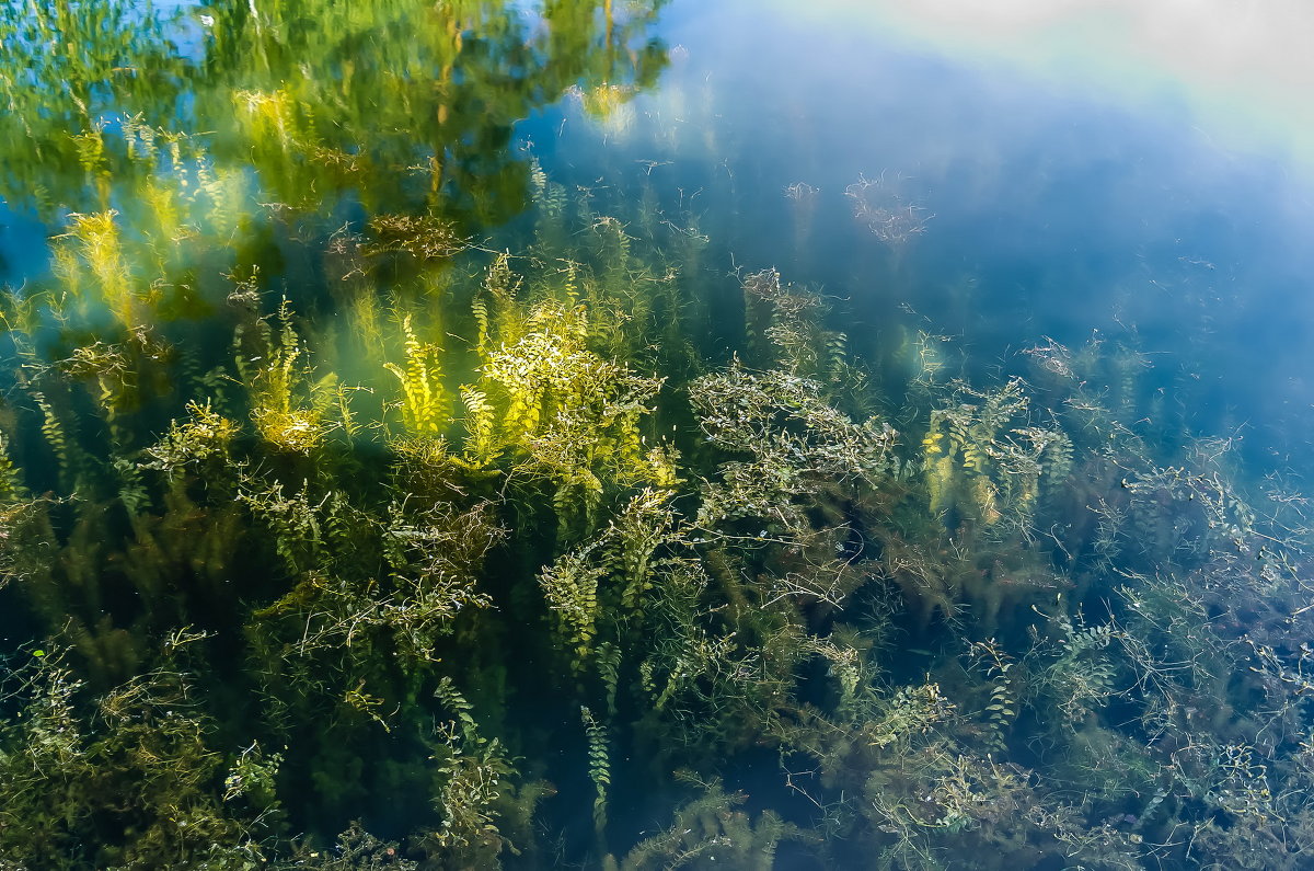 Водное таинство 2 - Марк Э