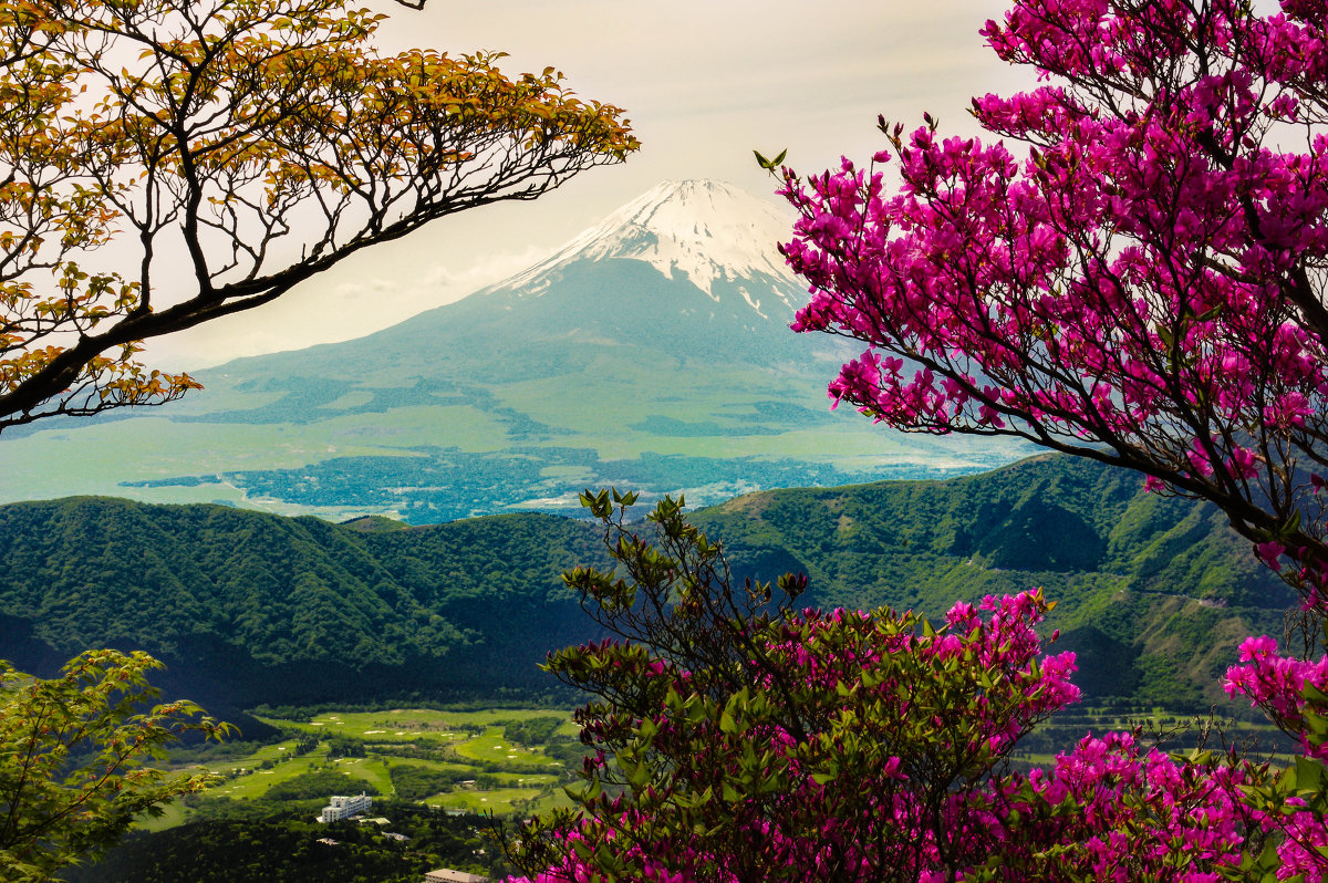 Fujisan-view from hiking trail to the top of Kamiyama - Nina Uvarova