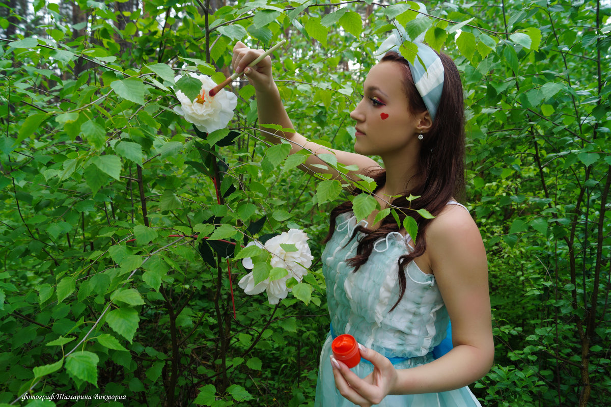 Сны Алисы - Виктория Шамарина