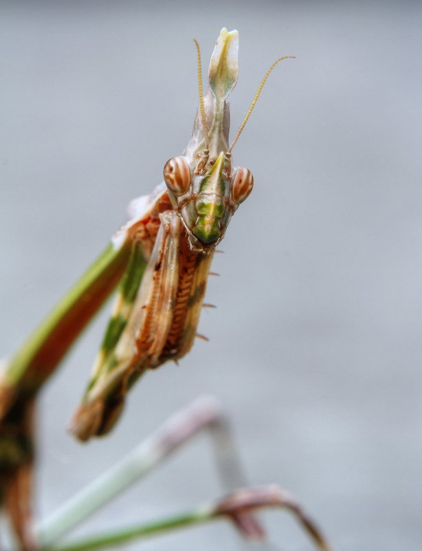 ... - Николай Ковтун ... - Николай Ковтун