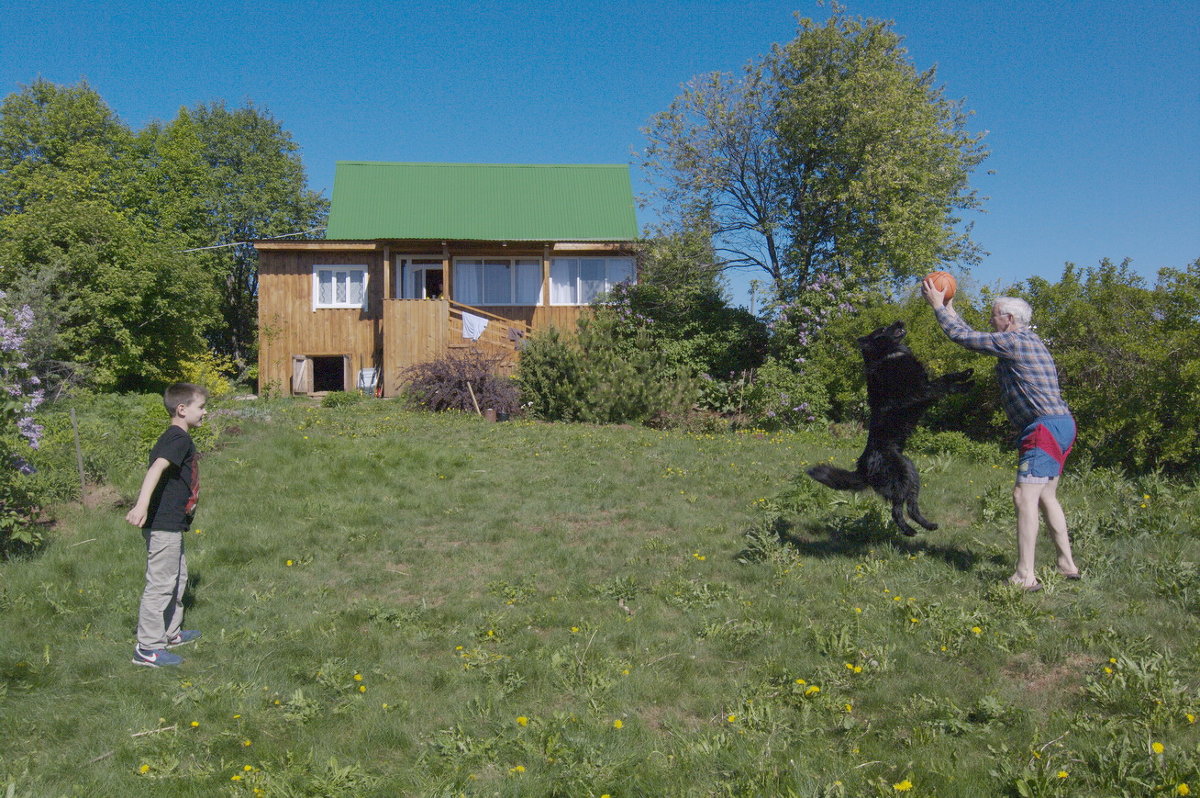 //// - Валерий Струк 