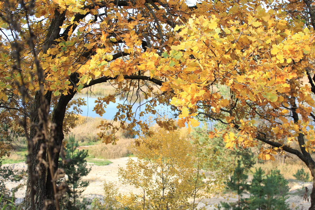 *** - Татьяна Грошева