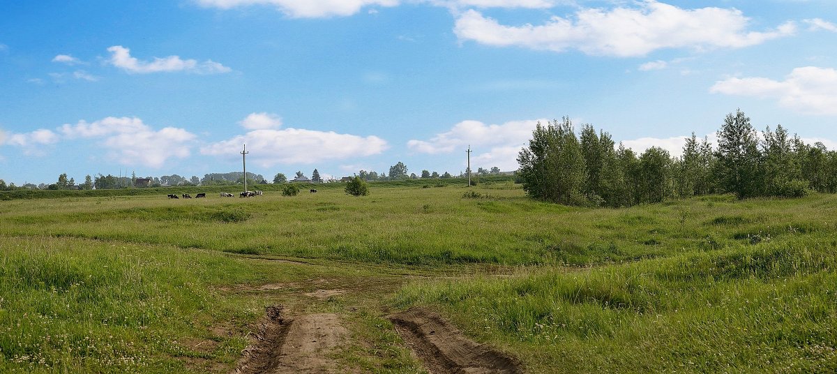 Луг - Николай Терентьев