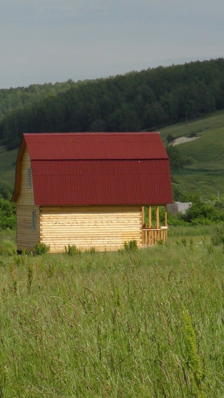 Дачка.. - Любовь (Or.Lyuba) Орлова