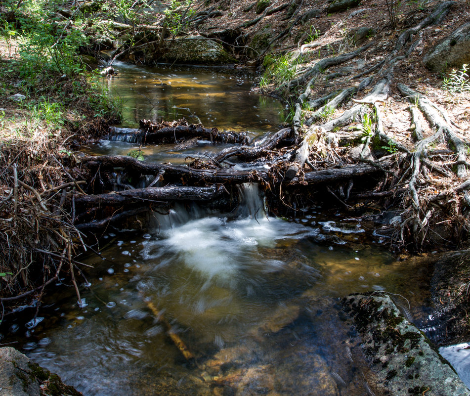 ... - Марат Рысбеков