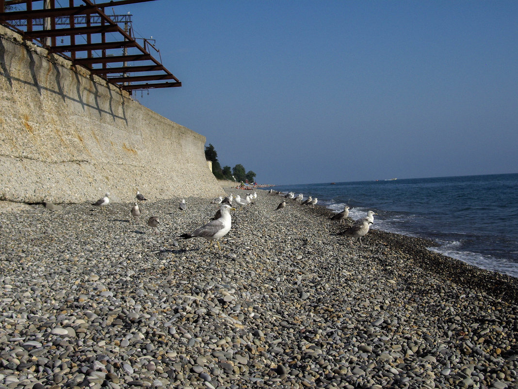 Отдыхающие - Микто (Mikto) Михаил Носков Отдыхающие - Микто (Mikto) Михаил Носков