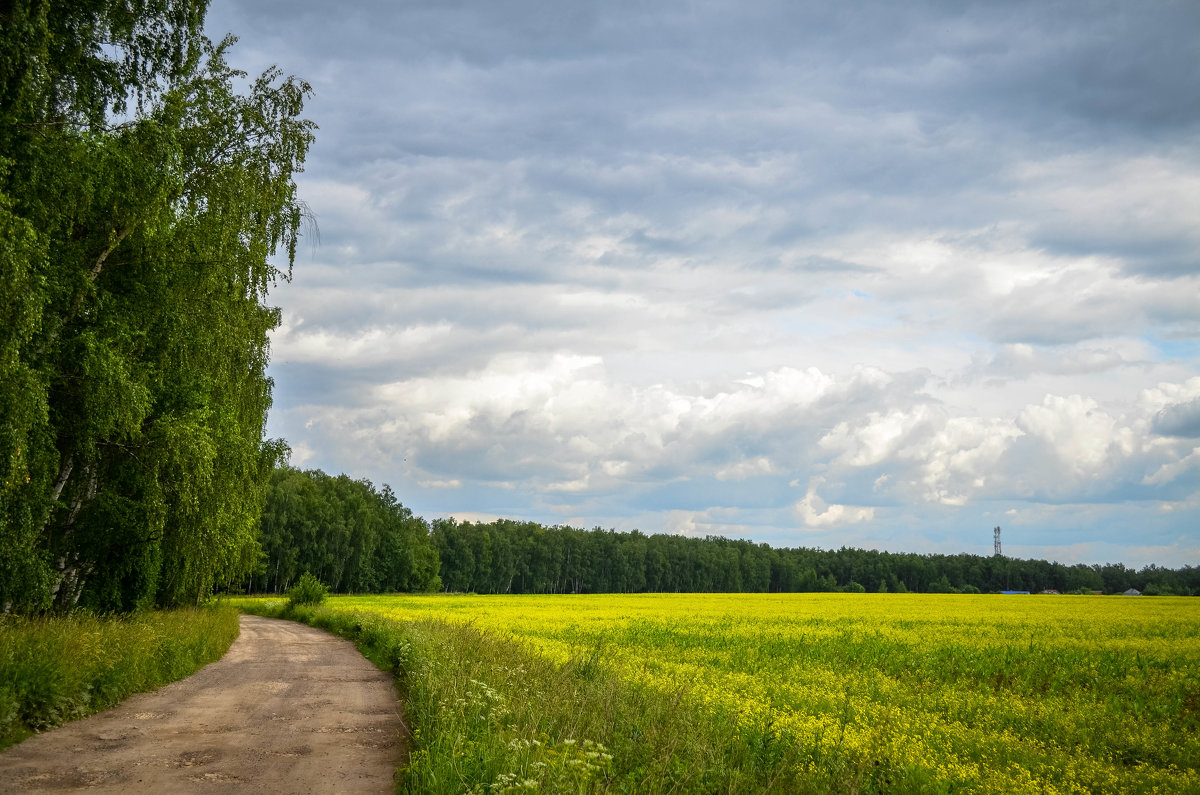 Русская природа - Дмитрий Крыжановский