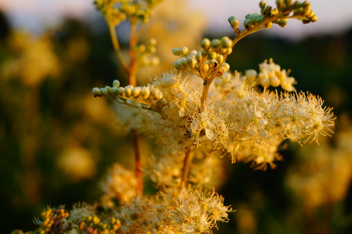 **** - Aleksandra Lutko