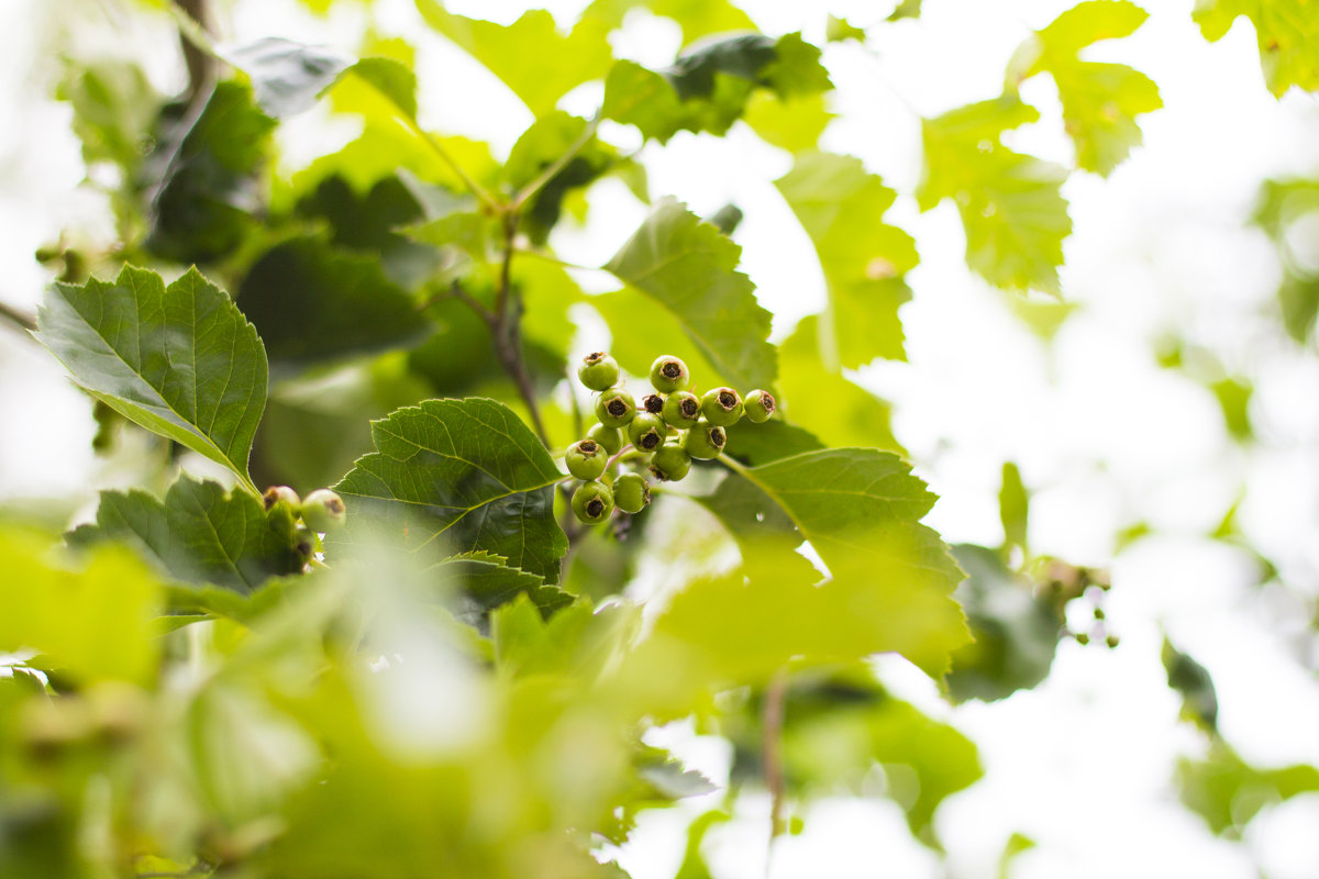 =) - Серёга Марков