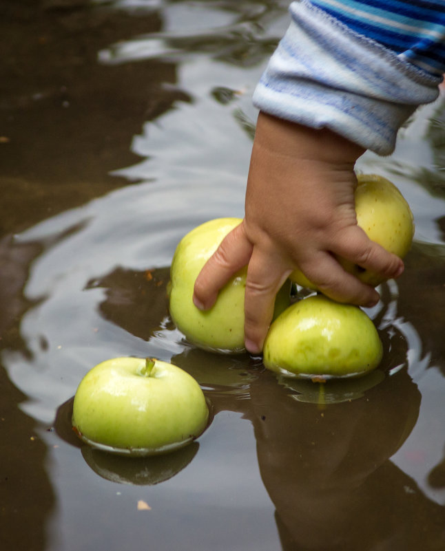 Яблочки - Veronika Mischenko