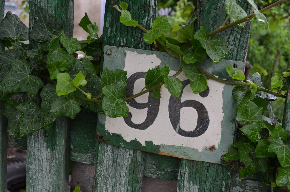 96 - Римма Чумаченко