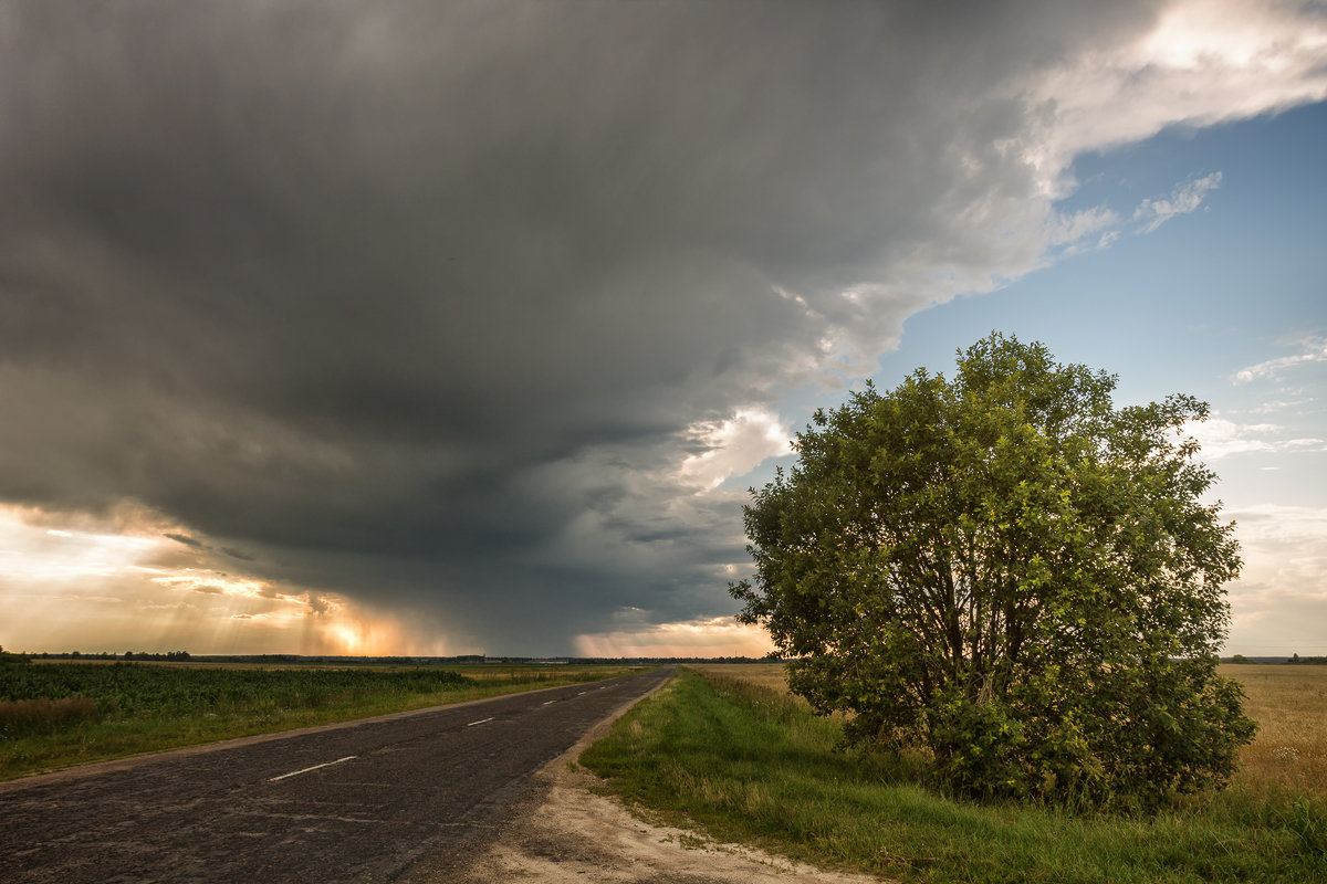 лето - александр макаренко