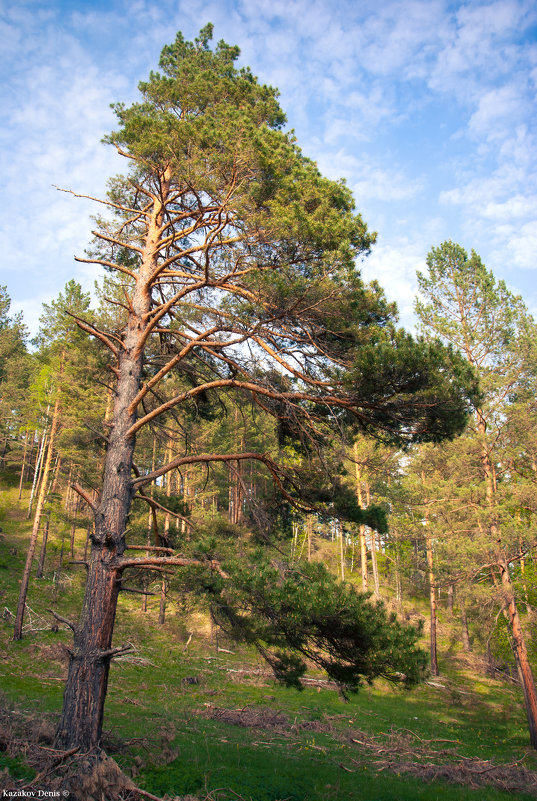 Горный Алтай - Денис Казаков Горный Алтай - Денис Казаков