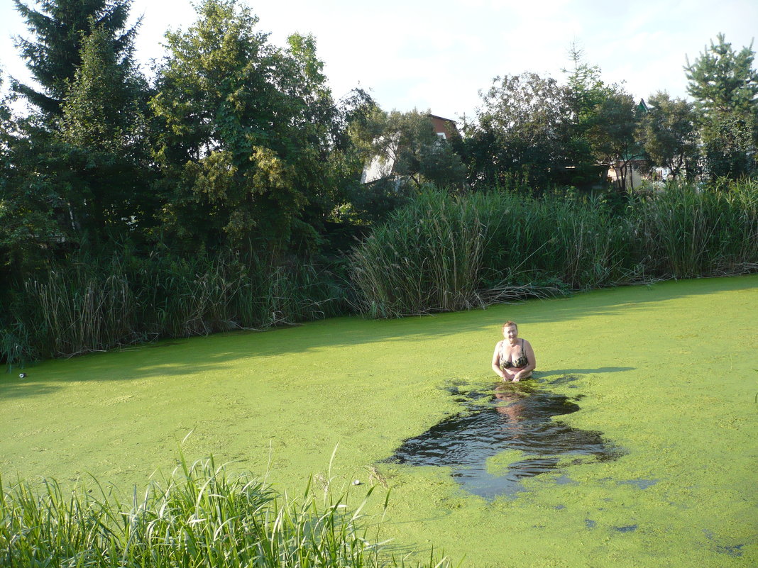 речка цветет - натальябонд бондаренко речка цветет - натальябонд бондаренко