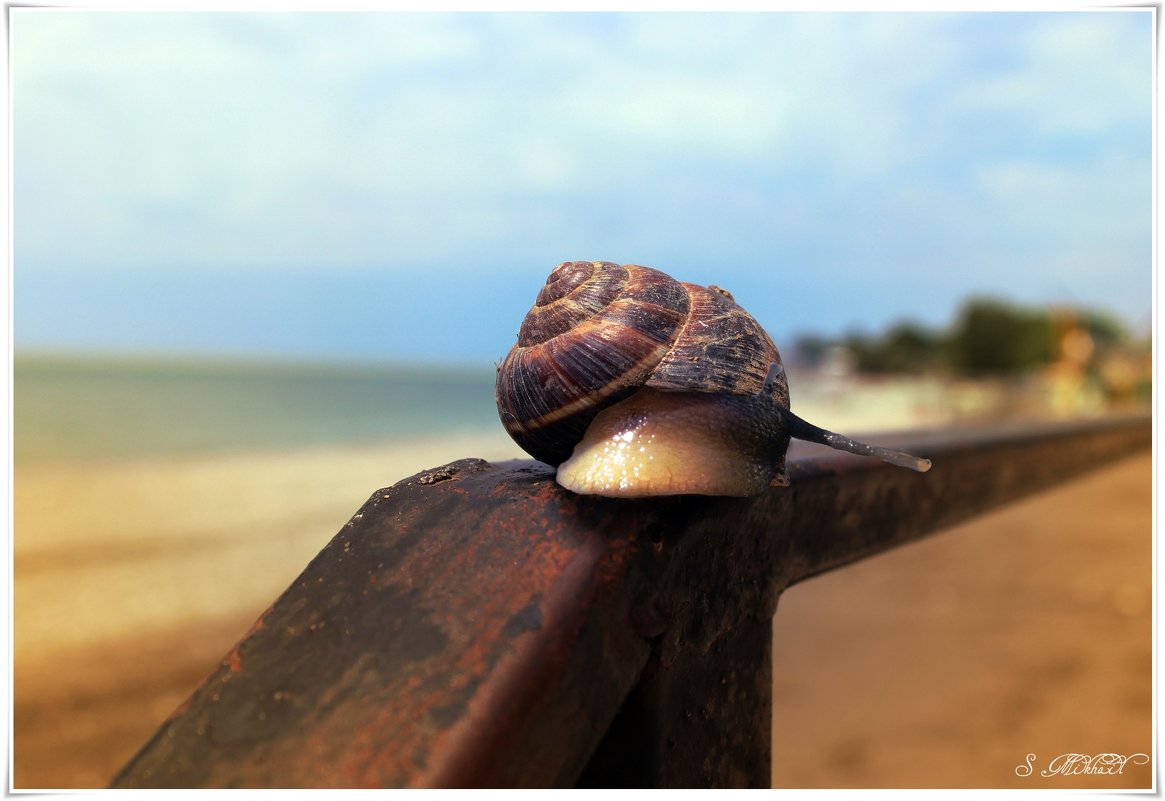 Один взгляд назад - cool.miki.s Один взгляд назад - cool.miki.s