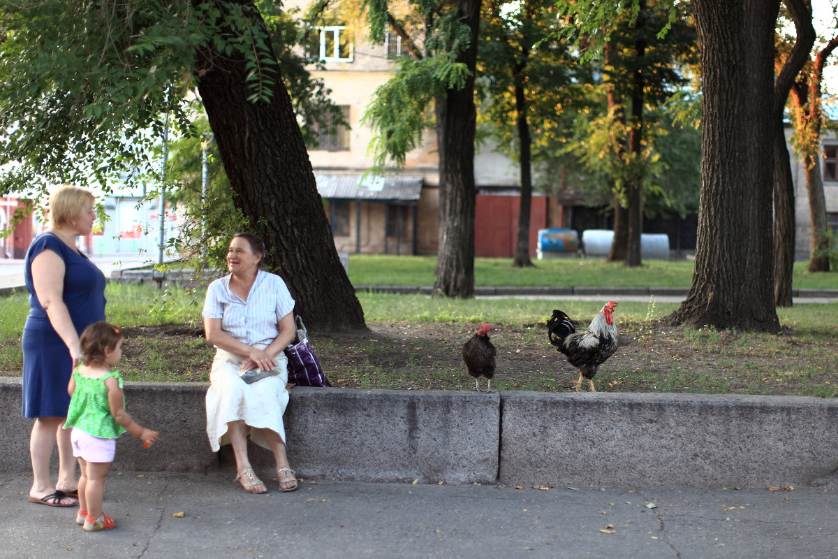 в минуте от центра города - Елена 