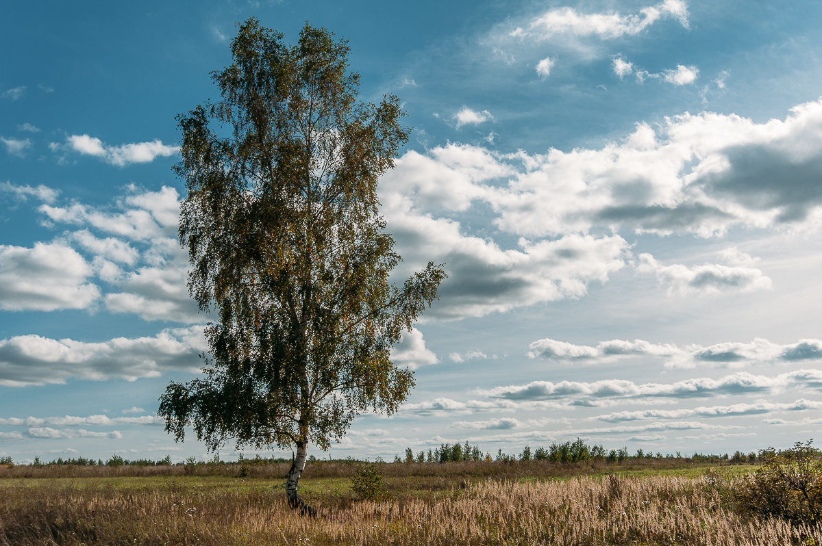 *** - Олег Карабаш