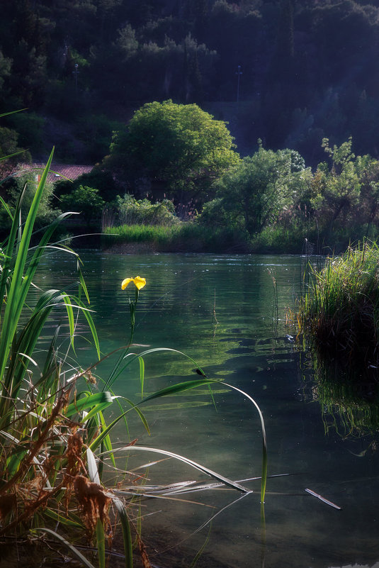 Krka National park (Сroatia) - Victoria Victoria