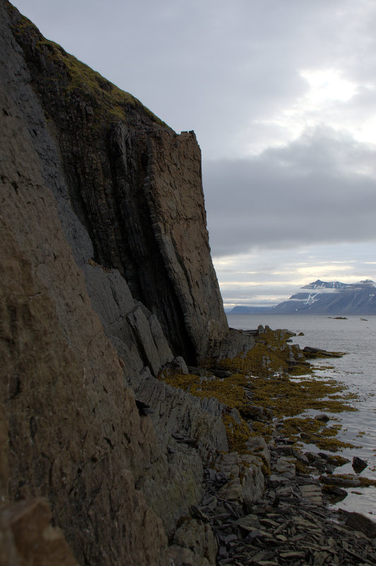 Берег - Виталий Кулешов (kadet.www) Берег - Виталий Кулешов (kadet.www)