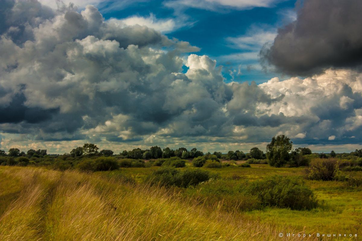 *** - Игорь Вишняков *** - Игорь Вишняков