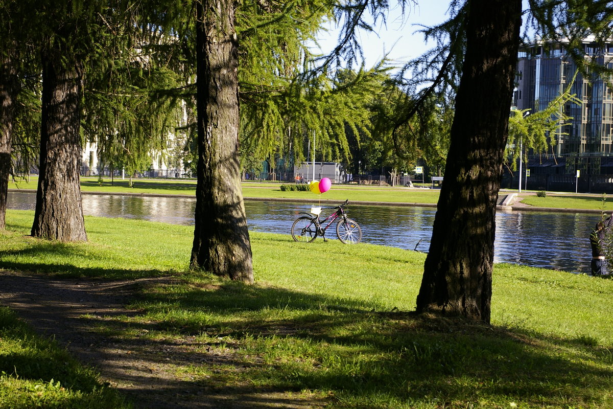 Один день из жизни велосипеда - Светлана marokkanka