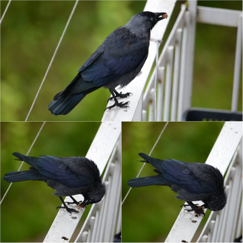 перекус... - Светлана 