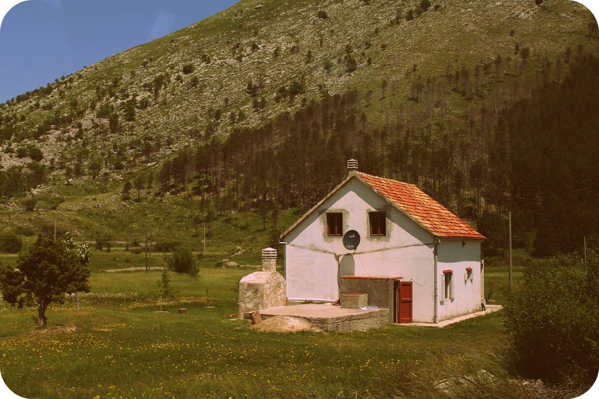 ::: - Сергей Черник