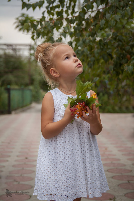 мечты...мечты... - Оксана Слюсарь