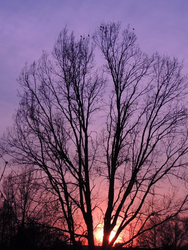 Закат - Игорь Закат - Игорь