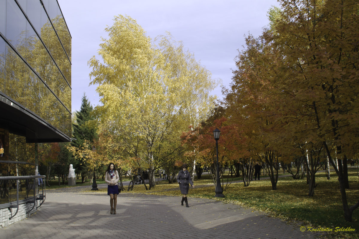 Отражение - Константин Селедков