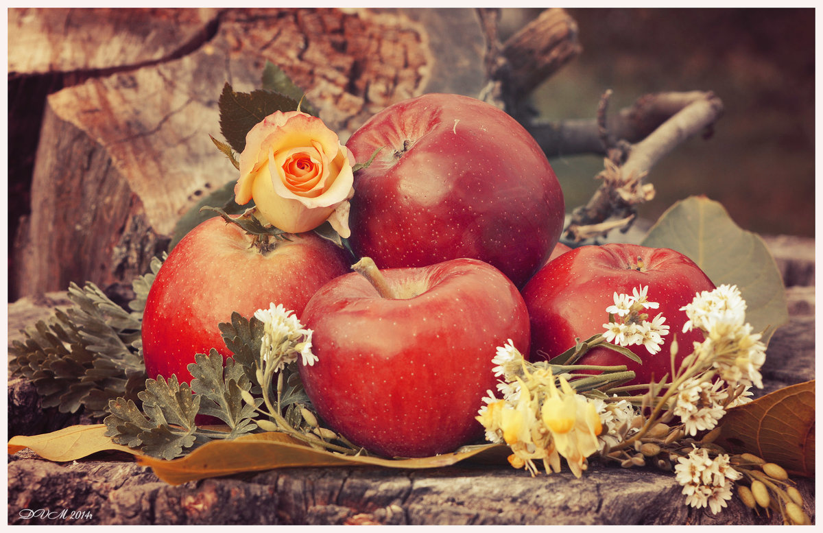 *** - Viktoriya Bilan *** - Viktoriya Bilan