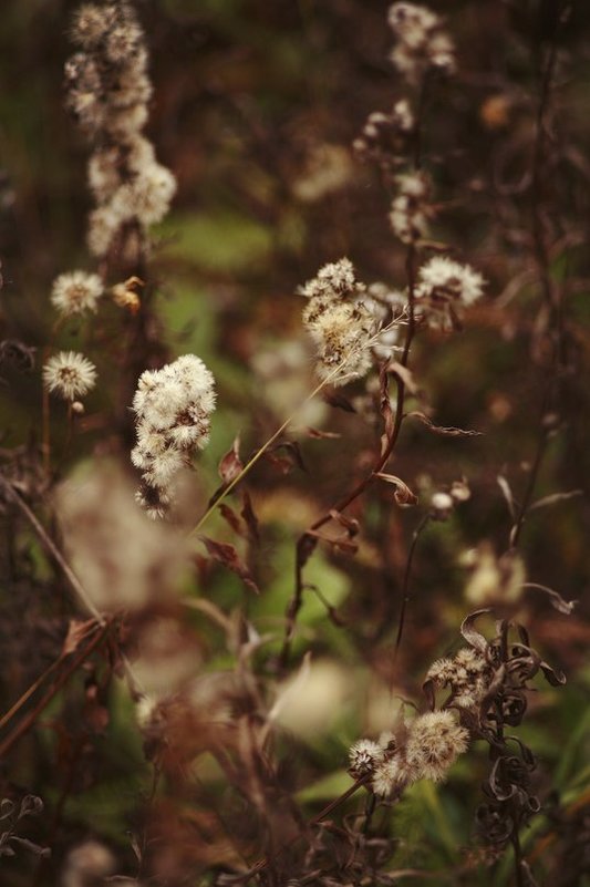 Что такое осень?это... - Анна Кузнецова