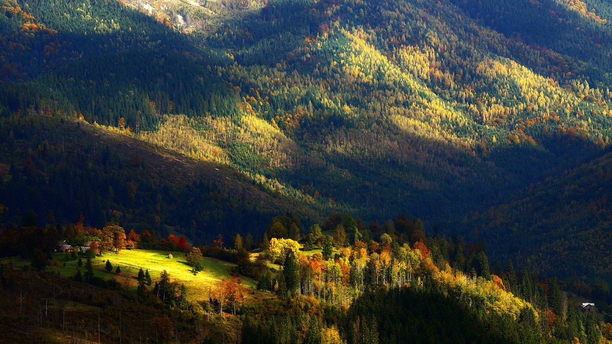 light and shadow - Андрій Кізима