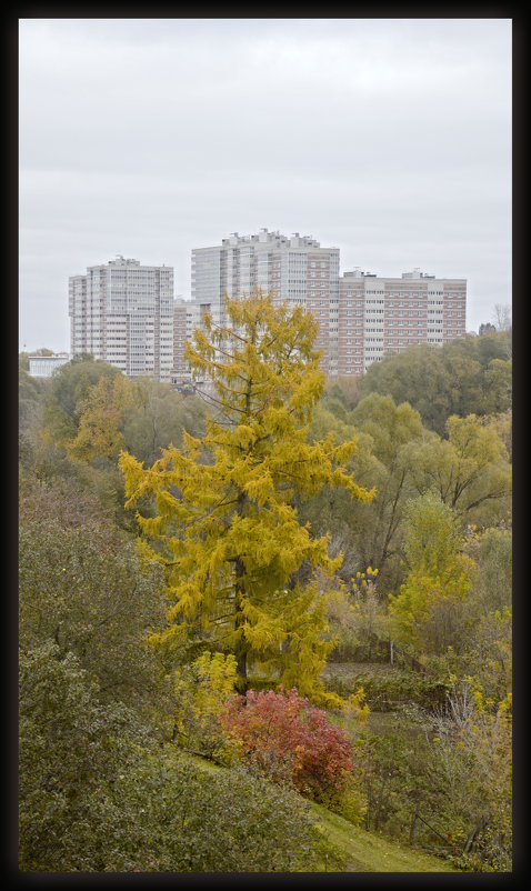 КРАСКИ ОСЕНИ. - Юрий Ефимов