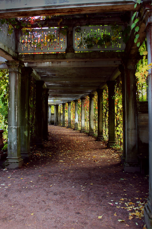 краски осени в Царском селе - Анна Ковалёва краски осени в Царском селе - Анна Ковалёва