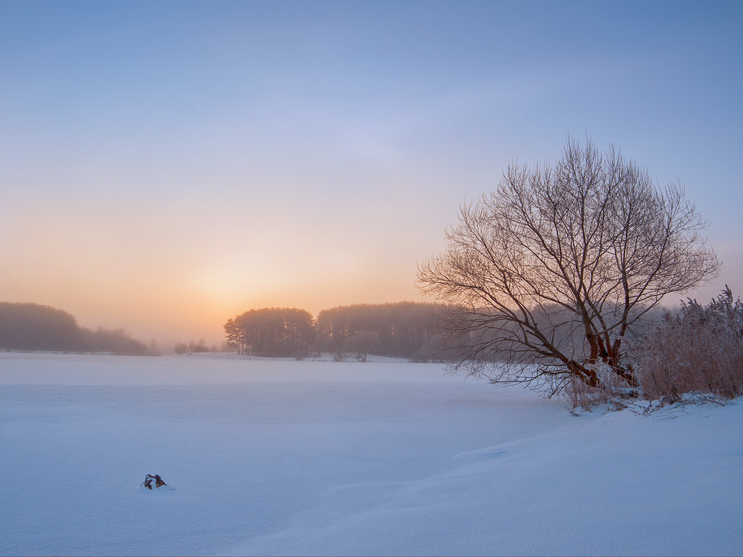 *** - Геннадий Скалабан
