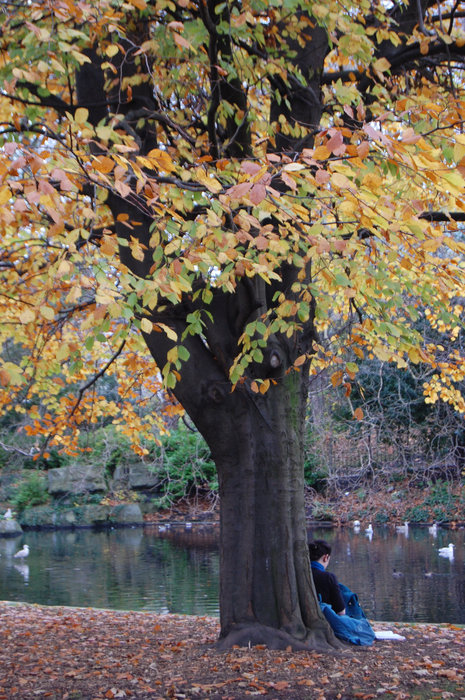 Осень! - Asinka Photography