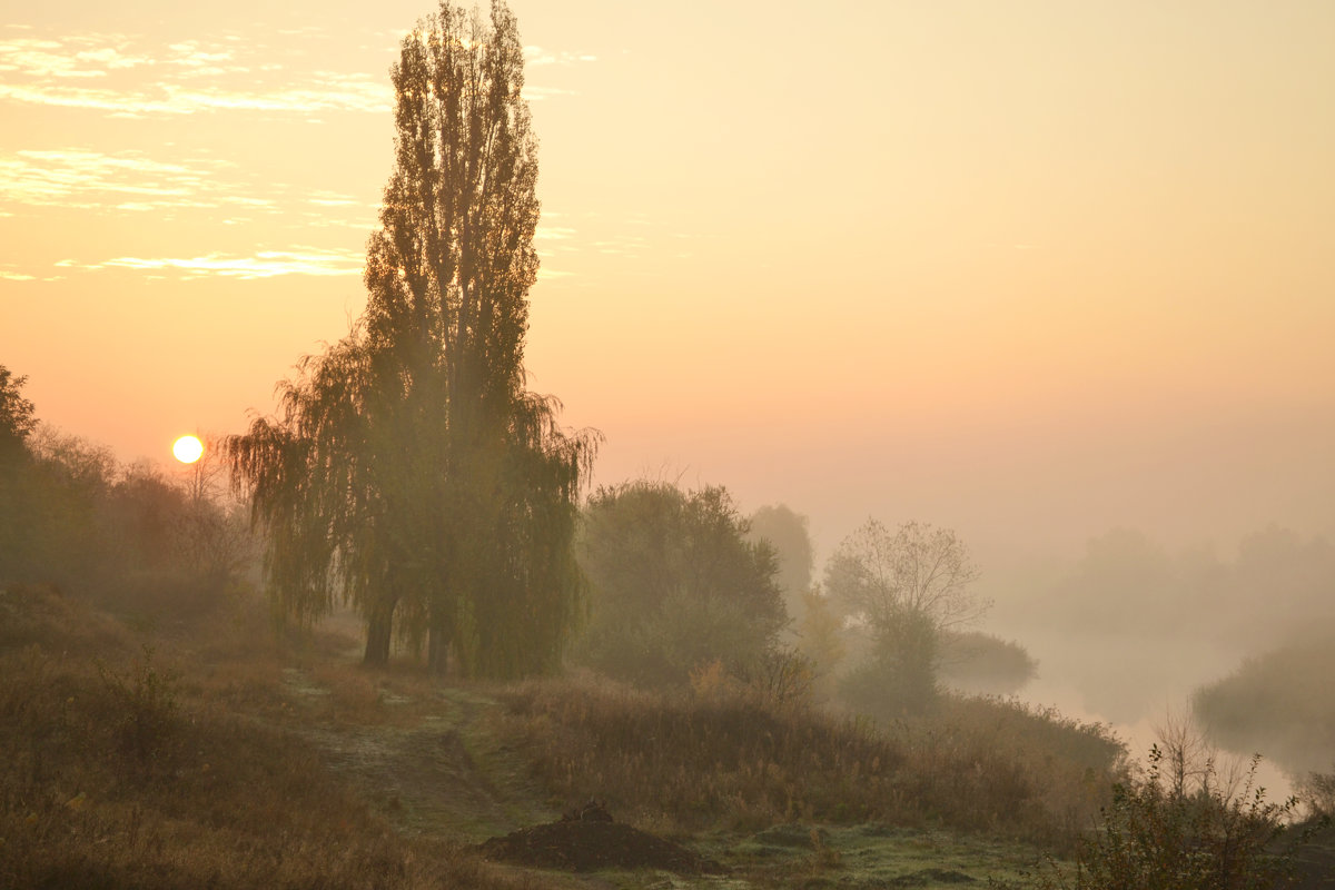 Утро. - Мария 
